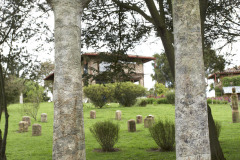 HomenajeaMaxErnestPremioSalonNacionaldeArtistas