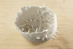 ExperimentoConcluido